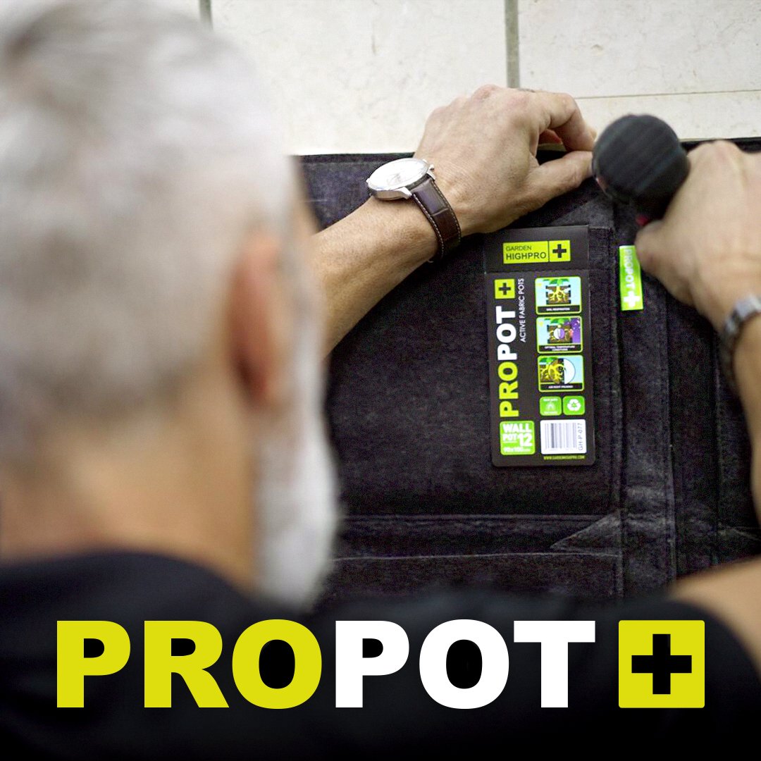 GARDENHIGHPRO's tweet photo. Aprovecha tu espacio al máximo con #PROPOTWALL !🔝
✔ Refuerzo trasero
✔ Fáciles de colocar
✔ Disponibles en varios tamaños
✔ Hechas de PET reciclado♻
✔ Son reutilizables y no pesan
✔ Permite que las raíces respiren🌱👌🏼
✔ Ideales para interior💡y exterior☀
#MacetasDePared https://t.co/vwSc3A7Ap9