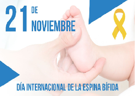 IVSSAmbValera's tweet photo. #21de NOV se celebra el Día Internacional de la espina bífida, las mujeres en edad de procrear deben consumir una buena dosis de ácido fólico durante el embarazo, para así evitar la malformación congénita del tubo neural del bebé @NicolasMaduro @AngelaCarrero3 @MagaGutierrezV https://t.co/DevWK5QFhJ