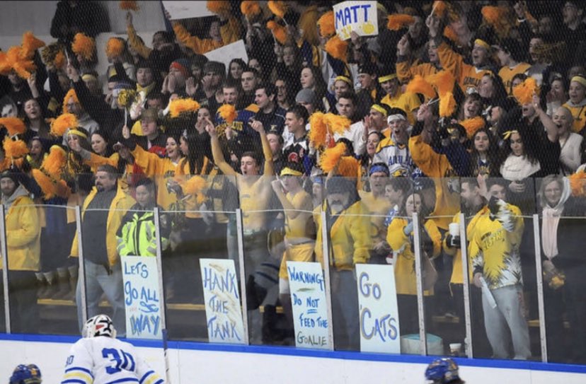 West Genesee Hockey tweet media