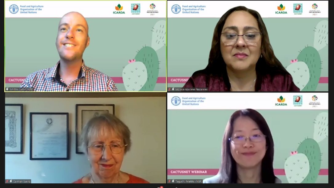 CactusNet_'s tweet photo. 👏Thank you to @FaoMakiko, @_justinwhittle and @karamelo__ for your organization the 5th @FAO- @ICARDA CactusNet Webinar.🌵 It was another successful webinar in the #cactusnet series 🎉. Thank you to our two speakers Carmen & Monica for inspiring us. #agriculture #food #cactus https://t.co/NOZbYnQvmv