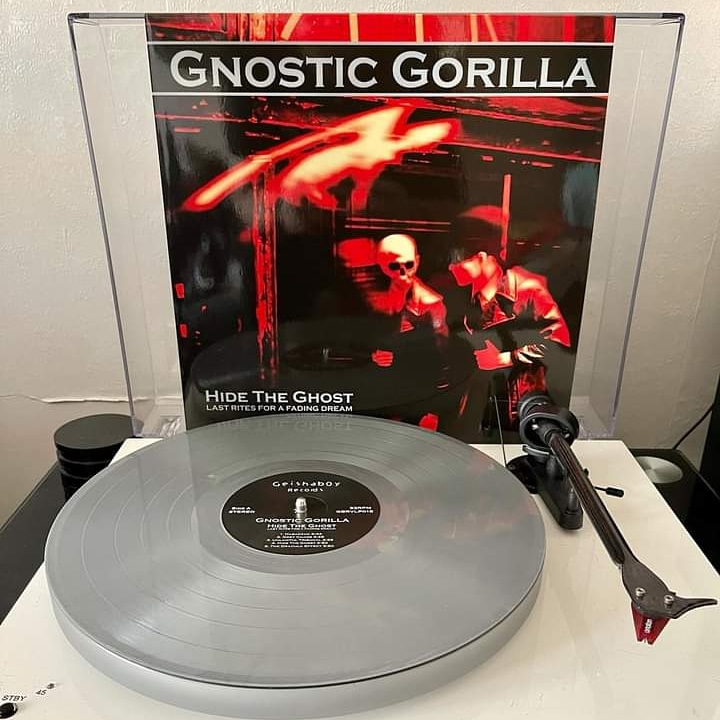 Gnostic Gorilla - Hide The Ghost (Last Rites For A Broken Dream). 180g silver grey vinyl lp with lyric/poster inner.

Try something different: geishab0yrecords.co.uk