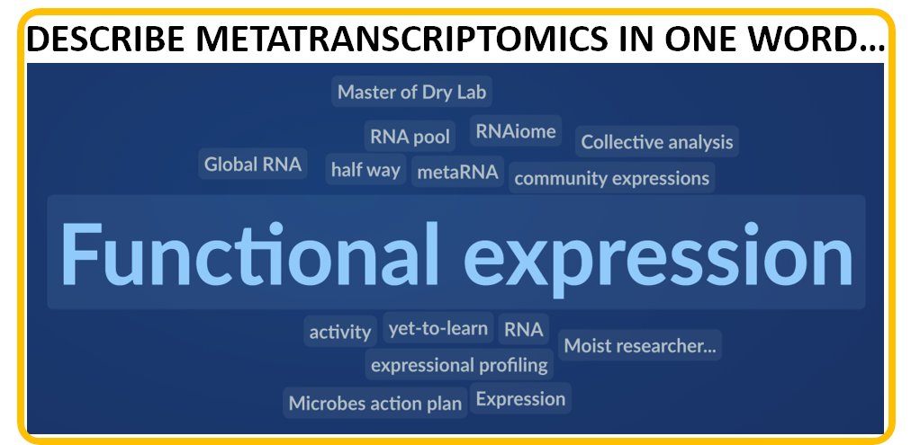 usegalaxyp's tweet image. Word Cloud for #metatranscriptomics from the participants on the third day of the #microbiome #usegalaxy workshop organized by @usegalaxyp &amp;amp; @CSIR_IMTECH. Thanks to @bebatut @pratikomics @subina @shiltemann for Day 3 of the workshop! @ASMicrobiology @INDOUSSTF
