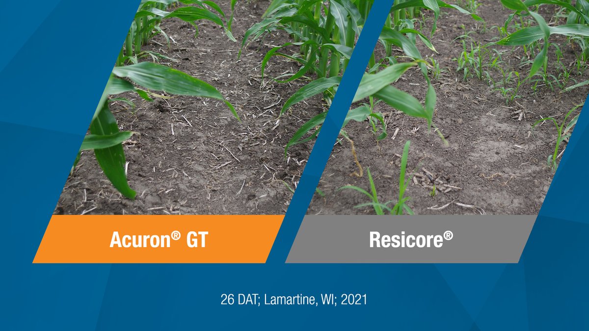 SyngentaUS tweet picture