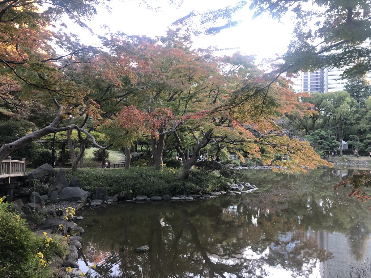 Random clicks from a picnic to Hibiya Park a week ago.
#Fall2021
#Tokyo