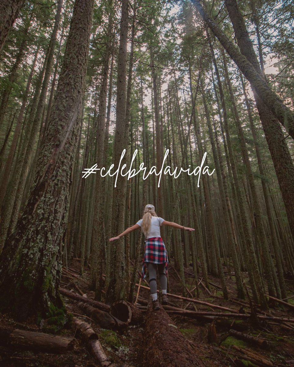 funcantabria's tweet photo. Celebrar la vida es disfrutar del paisaje, apreciar cada detalle, perderse entre atardeceres y recorrer caminos inexplorados✨
#CelebraLaVida #Emociones #Reflexiones #ViveElMomento #Funcantabria https://t.co/c0dza5eyWX