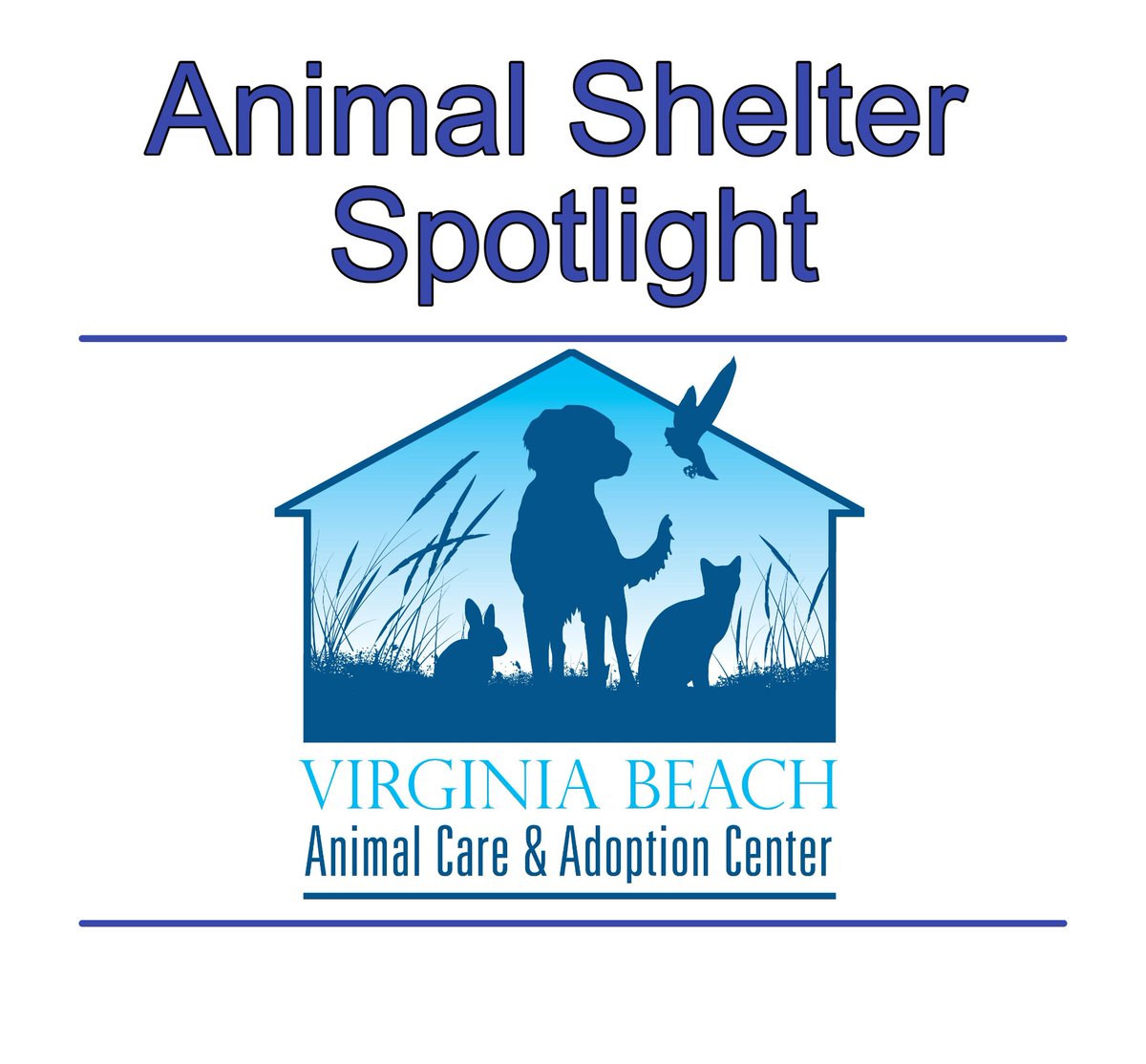 WesleyanEngaged's tweet photo. - Virginia Beach Animal Care &amp; Adoption Center - 
Volunteers are needed for many tasks, see list below.
Volunteer Application: https://t.co/UBRfLKkXfb https://t.co/hZYMhACBeV