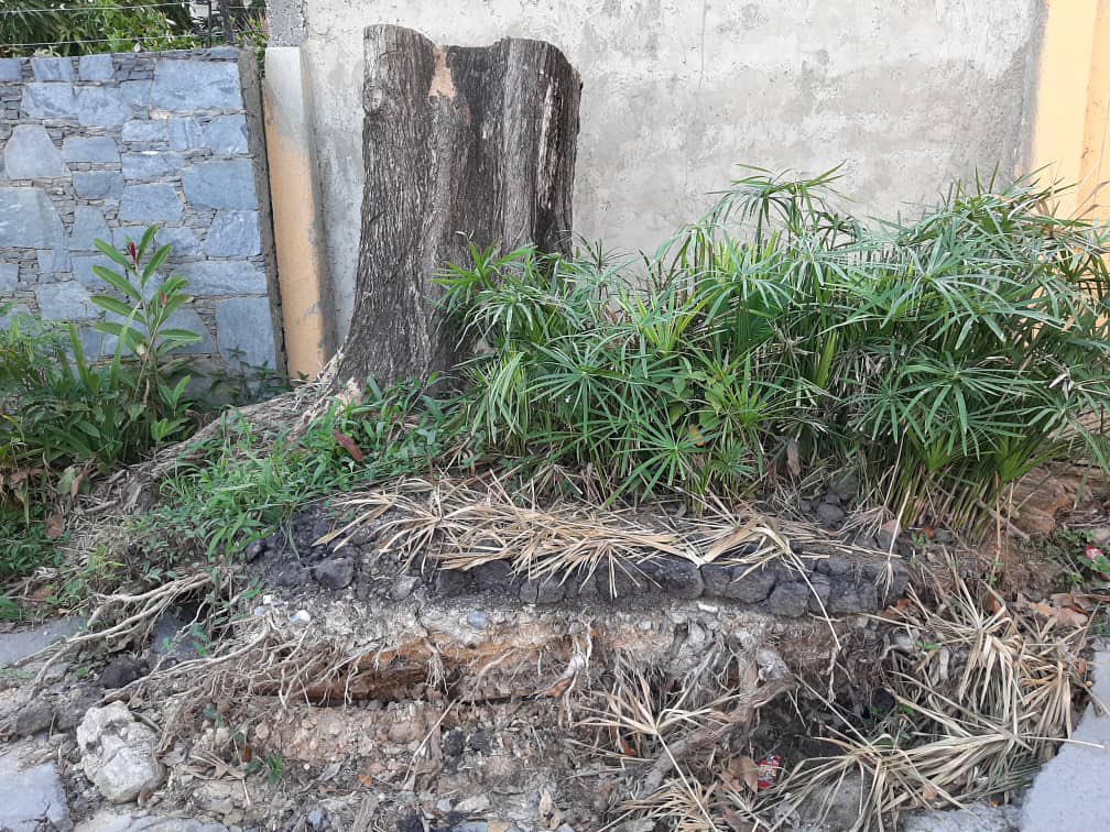 soniagarcial's tweet photo. @AlcaldiaBaruta  Atención Arq. Ronny Valecillos, Director de Áreas verdes de la Alcaldia de Baruta, culmine la limpieza de los troncos que quedaron desde el 10 de octubre en la acera frente a la casa No 18, calle La Ceiba de la Urb. El Peñon. Se está socavando la calle https://t.co/4Mh5xPaKye