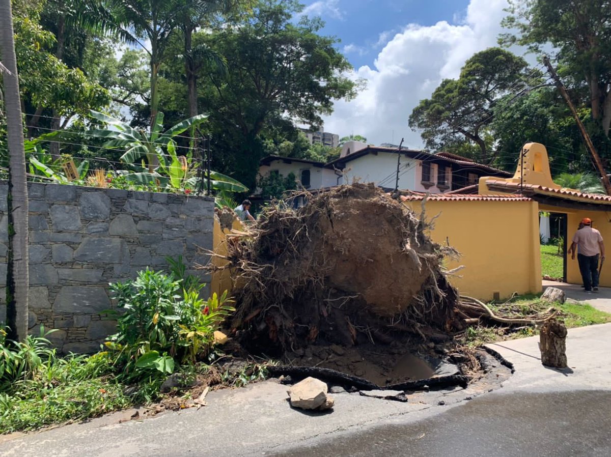 soniagarcial's tweet photo. @AlcaldiaBaruta  Atención Arq. Ronny Valecillos, Director de Áreas verdes de la Alcaldia de Baruta, culmine la limpieza de los troncos que quedaron desde el 10 de octubre en la acera frente a la casa No 18, calle La Ceiba de la Urb. El Peñon. Se está socavando la calle https://t.co/4Mh5xPaKye