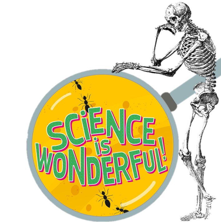 BABYPACE_MSCA's tweet photo. 🤩Amazing time this morning with the kids of the Génibois elementary school (Joeuf, France) for the @MSCActions outreach event #ScienceisWonderful, talking about biological anthropology from the Matson museum, @PSU_Anthro!
Thanks, @James_A_Doyle for the📸! https://t.co/6L3h8OEQOR