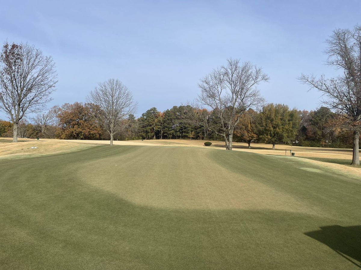 Daniel Dayton tweet media