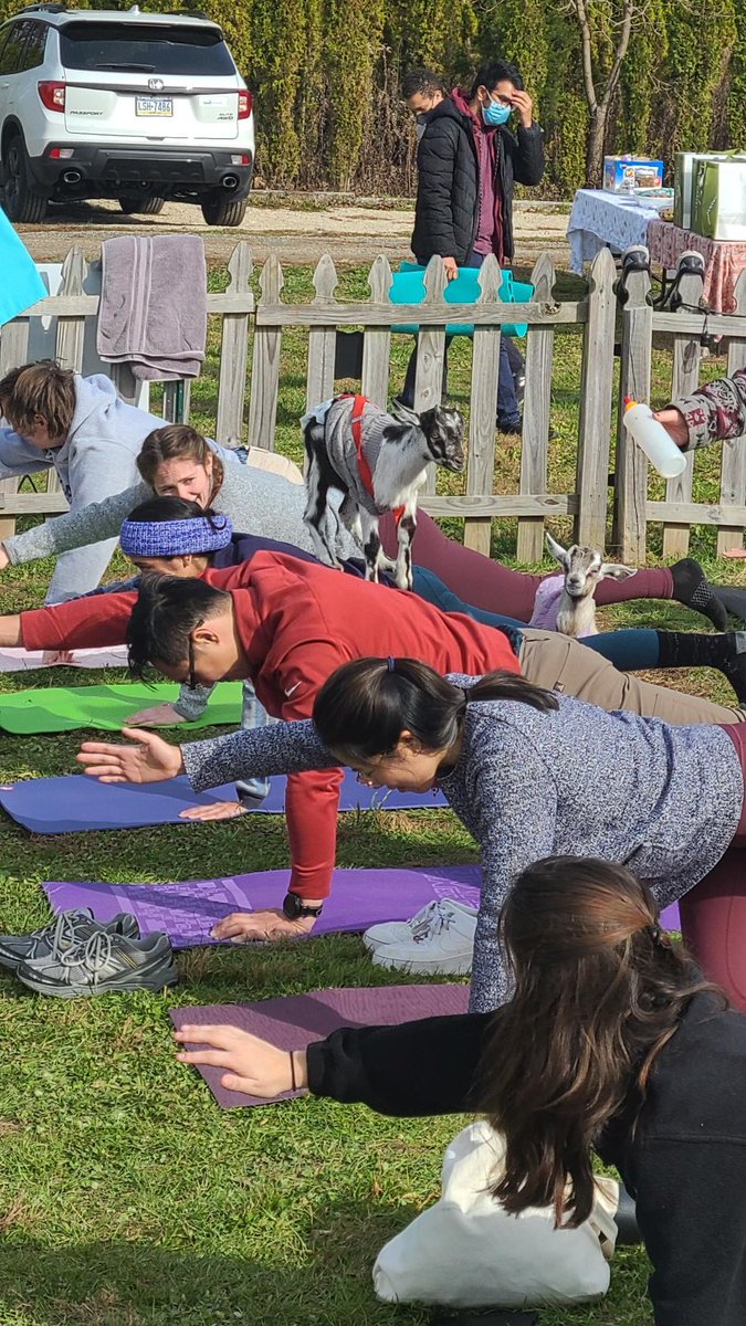 bushmanlab's tweet photo. The Bushman Lab's "Goat" Talent! We struck the coolest of poses with our families and friends doing yoga with baby goats this past Saturday. S/O to Rick for being the GOAT PI and putting all this together!
#coolestlab #coolestPI #wearetheGOAT https://t.co/7KQYXRTYY5