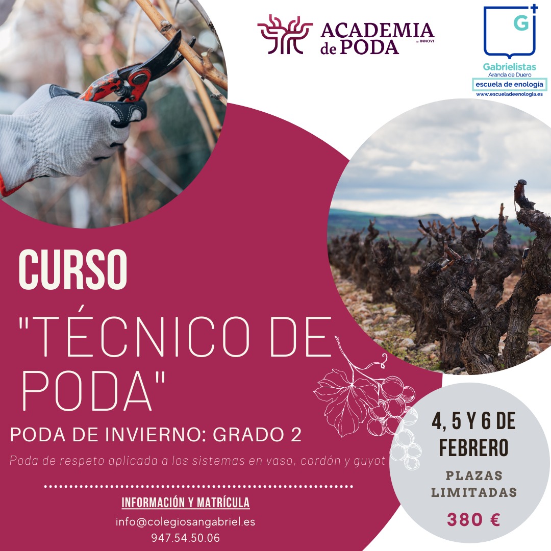 📣📣Curso "Técnico de poda. Nivel 2" @academiapoda en Ribera del Duero @riberadelduero

📧Inscripciones: info@colegiosangabriel.es

PLAZAS LIMITADAS

#escueladeenologia
#podaenseco
#viticultura
#podaderespeto  #riberadelduero