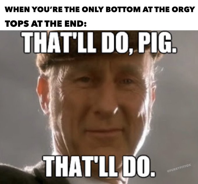 That’ll do pig, that’ll do ? @scallysex @thexxlmen @HotMaleStuds @GAYXXXBLOG @theQueerPig @QueerMeNow