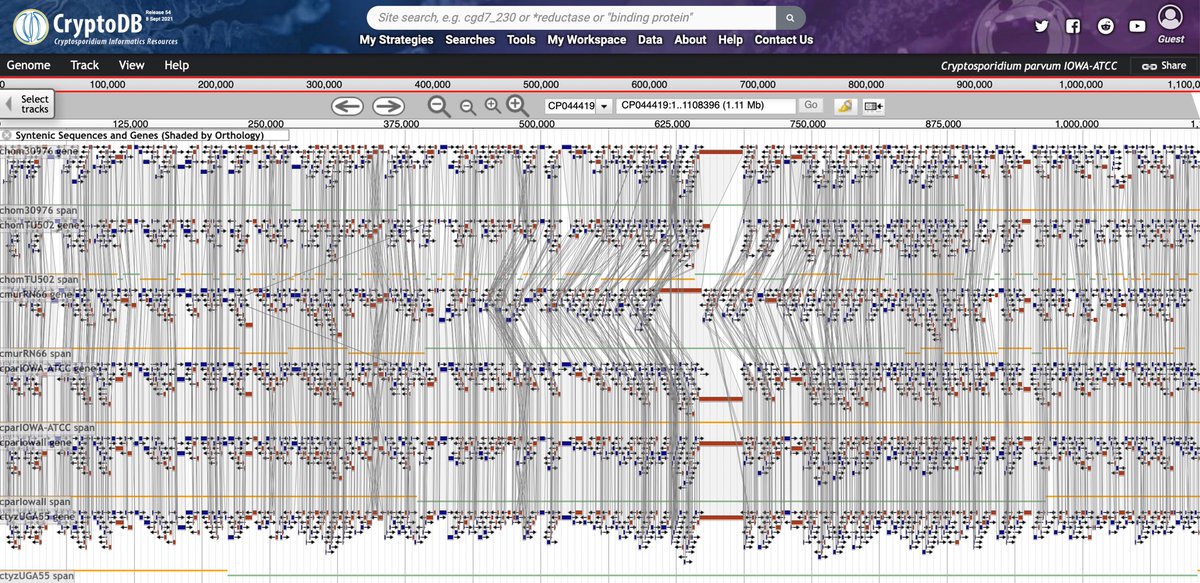 veupathdb's tweet image. And data has been available to the community on #CryptoDB pre-publication for a couple of releases.  cryptodb.org/cryptodb/app/r…