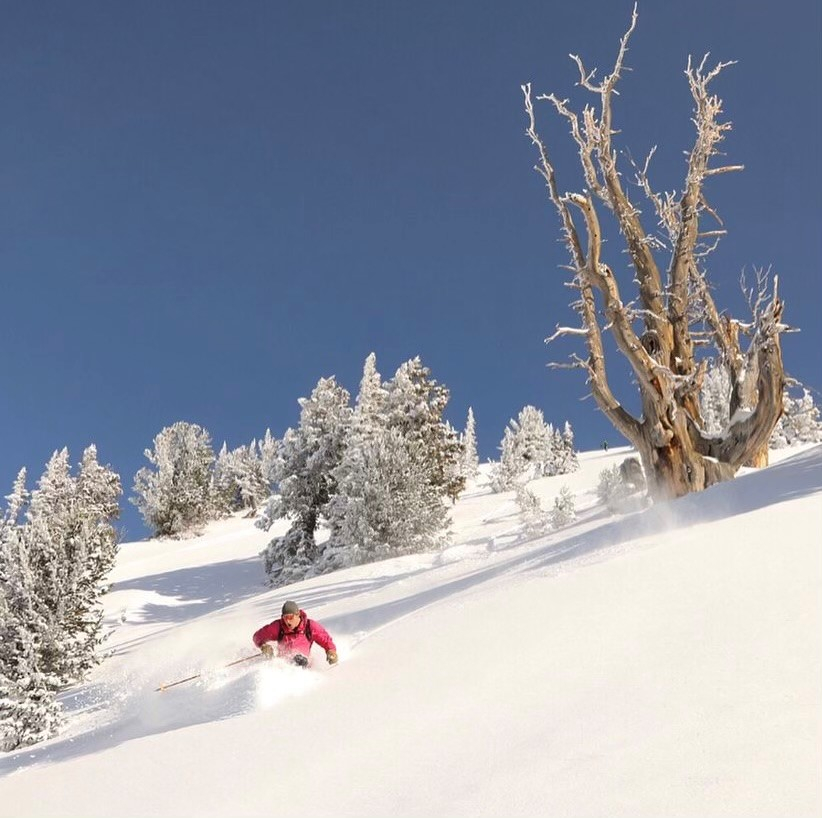 Meet Joey! 

You may have seen him around the lodge often in a bright pink polo. When he’s not attending to the lodge’s maintenance needs Joey spends his days skiing and jamming to classic rock with his guitar. Joey is known to rack up over 180 ski days a year but never rides