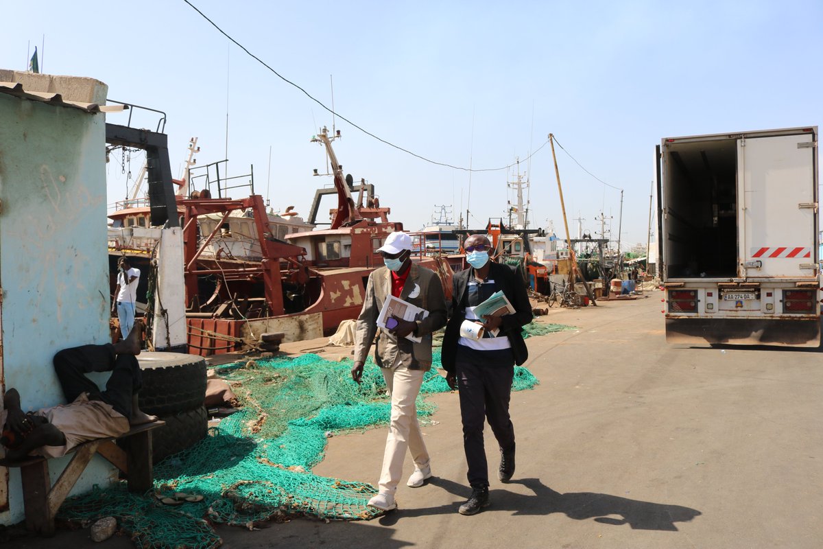BirdLifeAfrica's tweet photo. 🎣 We visited the port of Dakar today to celebrate #WorldFisheriesDay raising awareness among fishing stakeholders on the sea turtles and seabirds #bycatch that threatens not only the ecosystem but also affects the fishermen's livelihoods🐦🐢🌊
@MavaFdn @prcmarine @BirdLifeMarine https://t.co/Q3G55kReN0