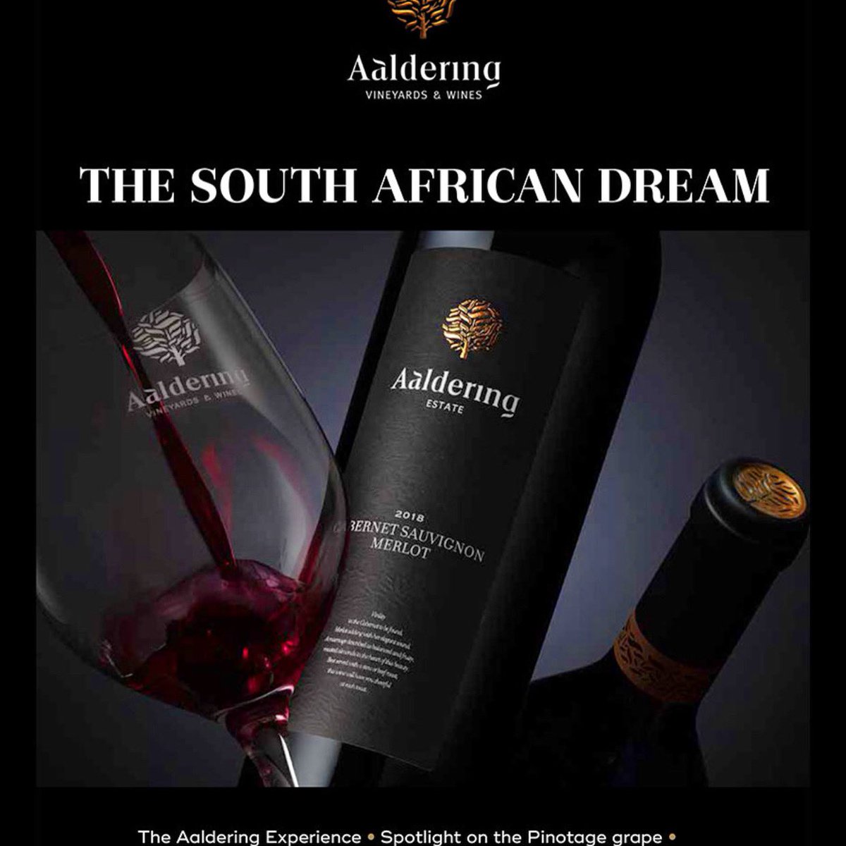The South African Dream number 6, our unique Aaldering magazine is now available. 
You can view, read or download this magazine online, and if you would like to receive a hardcopy, please send us a private message. 
aaldering.co.za/wp-content/upl…

#aalderingwines #florencebyaaldering
