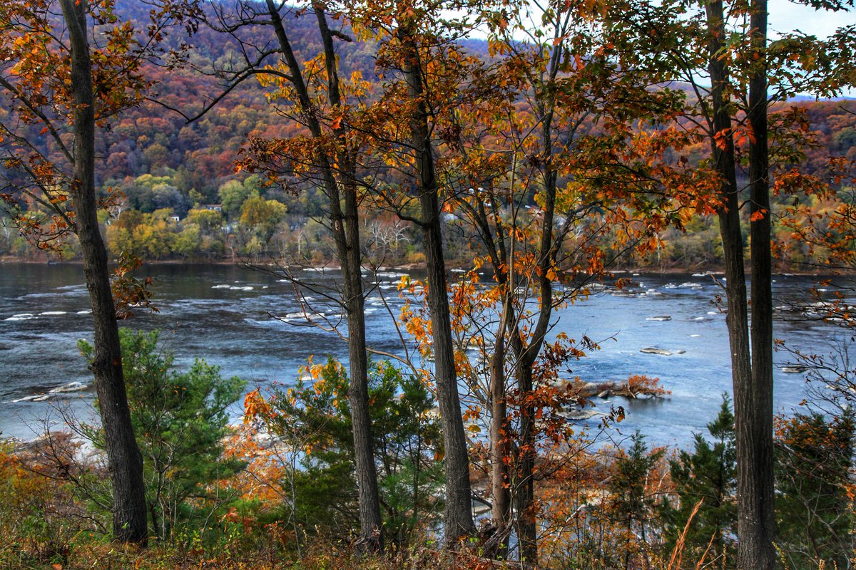 Vis_Symphonies's tweet photo. #harpersferry
#marylandphotographer #WestVirginia #historicplaces #fallcolors #fallfoliage #mountains #countryside #mountains #colorfultrees https://t.co/OJRQyeLAr4