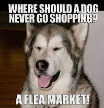 HuskiesMPSH's tweet photo. Hey Huskies...Check this out!!!

MPSH Entrepreneurship 3209
FESTIVE FLEA MARKET
December 3rd, LRC, Cash only
Items include: Pokemon Cards, Hockey Cards, Housewares, Toys, Books, Decorations, even Doggie Clothes! https://t.co/dbql3eKTlD