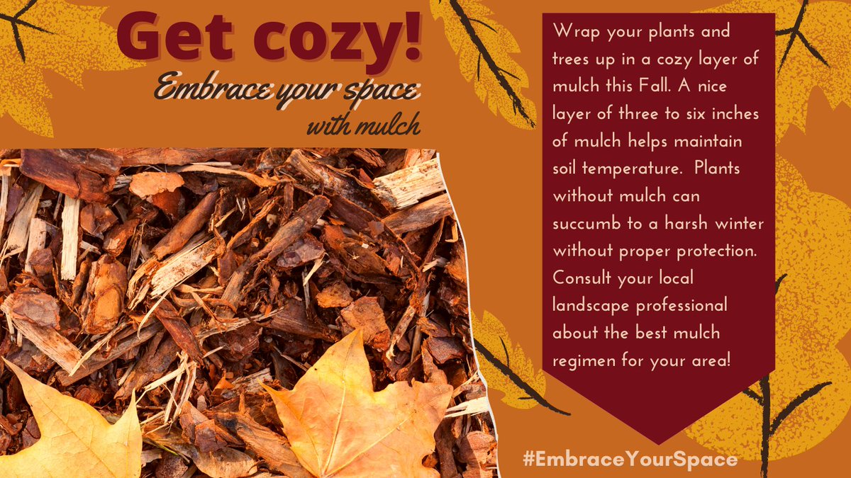 Wrap your plants and trees up in a cozy layer of mulch this Fall. A nice layer of three to six inches of mulch helps maintain soil temperature. Consult your local landscape professional about the best mulch regimen for your area!   #embraceyourspace #getcozy #greenindustry