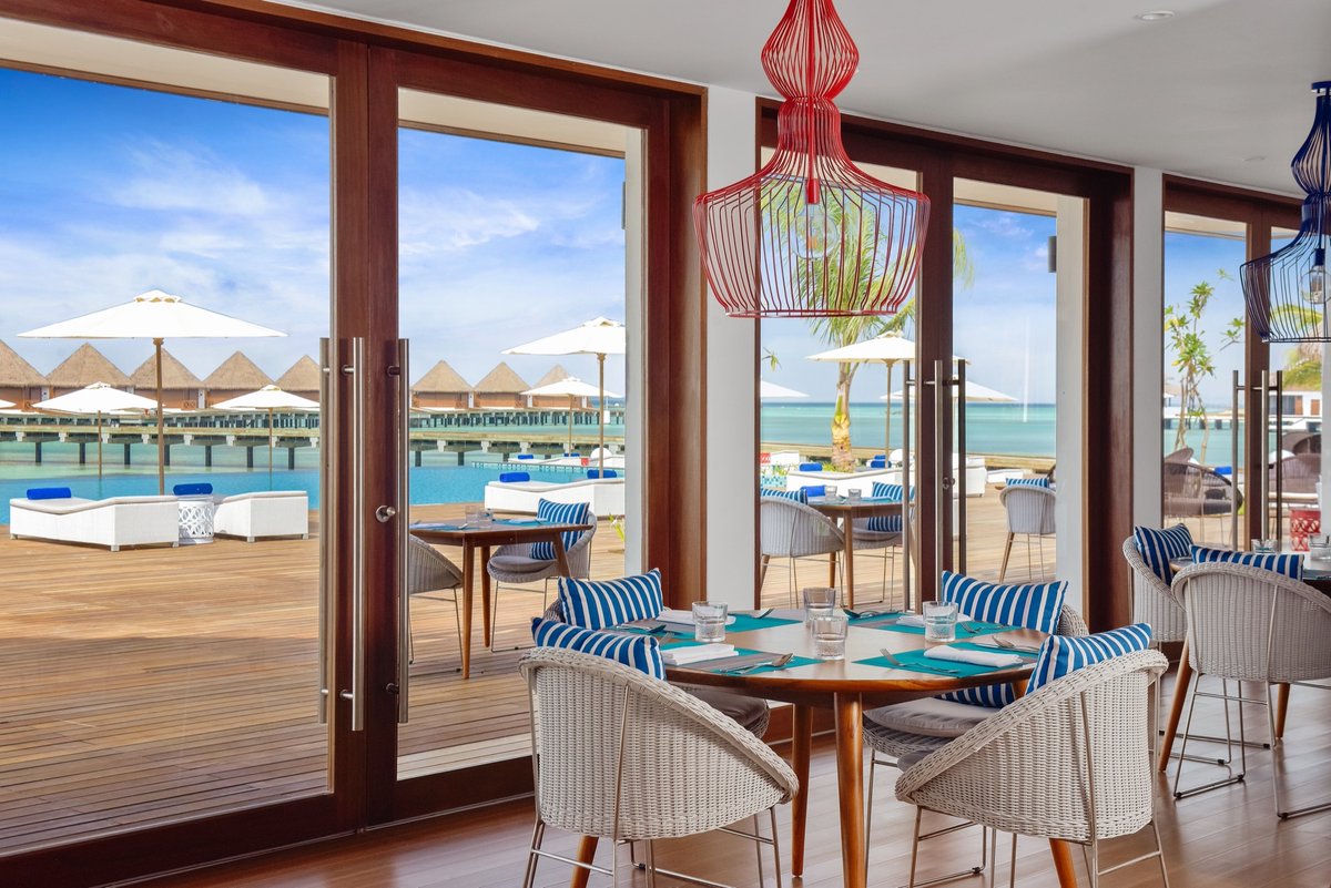 MAXMaldives (@max_maldives) on Twitter photo -10% EB discount on all rates and Stay 8 and pay only 7 nights
maxmaldives.com/hotels/mercure…
#Mercure #Kooddoo #Mercure_Maldives #Kooddoo_Resort #Mercure_Kooddoo_Resort #Mercure_Kooddoo_Maldives
maxmaldives.com <a href="/MAX_maldives/">MAXMaldives</a> #MAXMaldives info@MaxMaldives.com -10% EB discount on all rates and Stay 8 and pay only 7 nights
maxmaldives.com/hotels/mercure…
#Mercure #Kooddoo #Mercure_Maldives #Kooddoo_Resort #Mercure_Kooddoo_Resort #Mercure_Kooddoo_Maldives
maxmaldives.com <a href="/MAX_maldives/">MAXMaldives</a> #MAXMaldives info@MaxMaldives.com