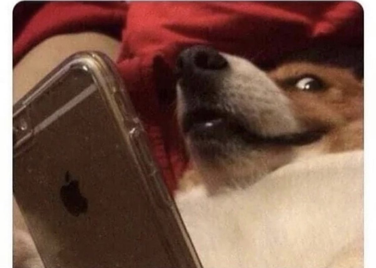 wutchapp tweet media