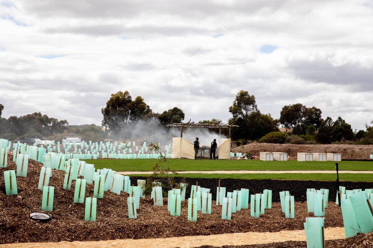 South Australian Museum tweet media