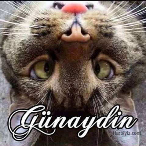 🌺Gülce🌺 (@neviacan) on Twitter photo 