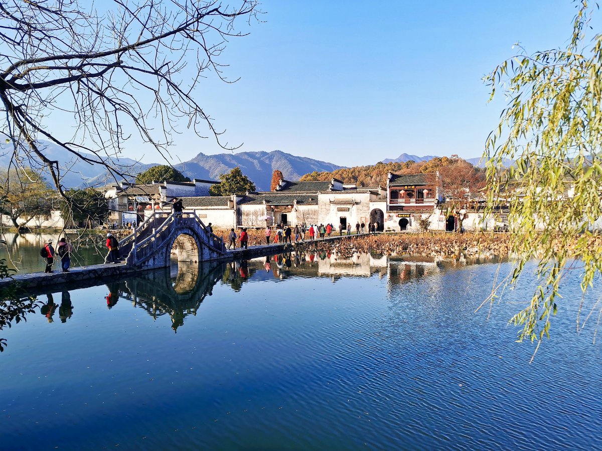 mist雨澪 tweet media