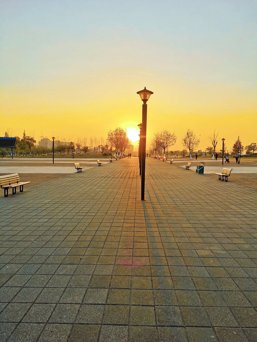 mist雨澪 tweet media