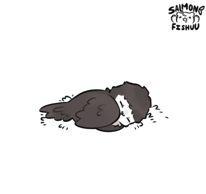 HAPPY BIRTHDAY AKAASHI BABY IM SORRY IM LATE (1/2) 