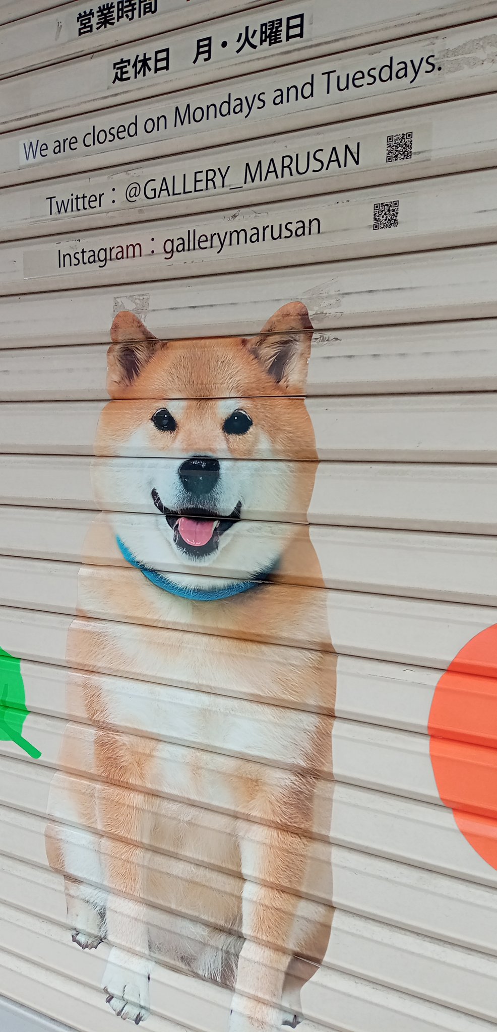 柴犬まるgallery Marusan まる店長 おはようございます 柴犬まる展の準備 今日もがんばっています ギャラリー本日定休日 次回営業は12月11日 11時オープン お待ちしてます 閉まってるときしか見れない ある意味レア T Co