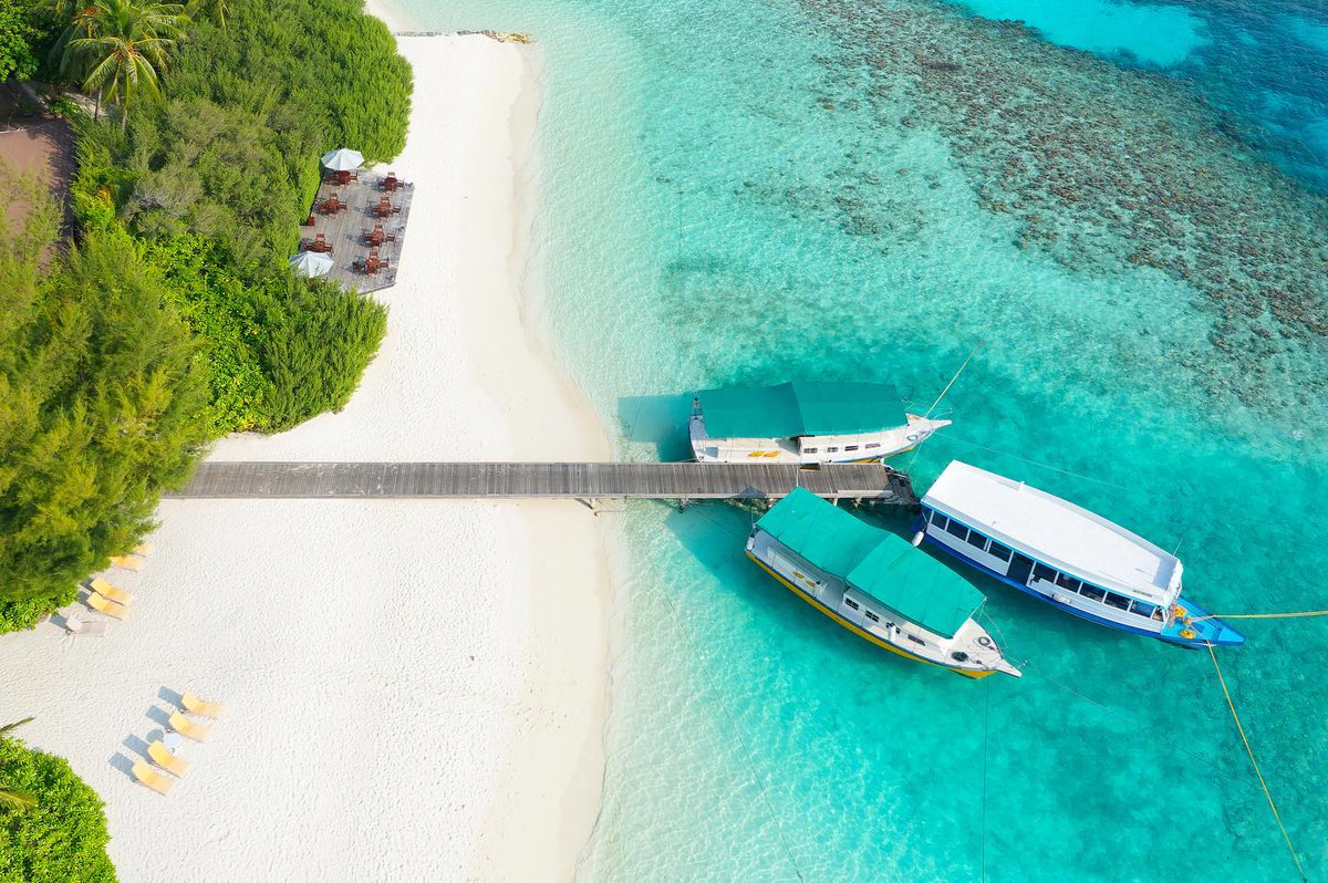MAXMaldives (@max_maldives) on Twitter photo EXTRA -15% EB Discount on room rates
maxmaldives.com/hotels/embudu-…
#Embudu #Embudu_Village #Embudu_Resort #Embudu_Maldives #Embudu_Village_Resort #Embudu_Village_Maldives #Embudu_Village_Resort_Maldives
maxmaldives.com <a href="/MAX_maldives/">MAXMaldives</a> #MAXMaldives info@MaxMaldives.com EXTRA -15% EB Discount on room rates
maxmaldives.com/hotels/embudu-…
#Embudu #Embudu_Village #Embudu_Resort #Embudu_Maldives #Embudu_Village_Resort #Embudu_Village_Maldives #Embudu_Village_Resort_Maldives
maxmaldives.com <a href="/MAX_maldives/">MAXMaldives</a> #MAXMaldives info@MaxMaldives.com