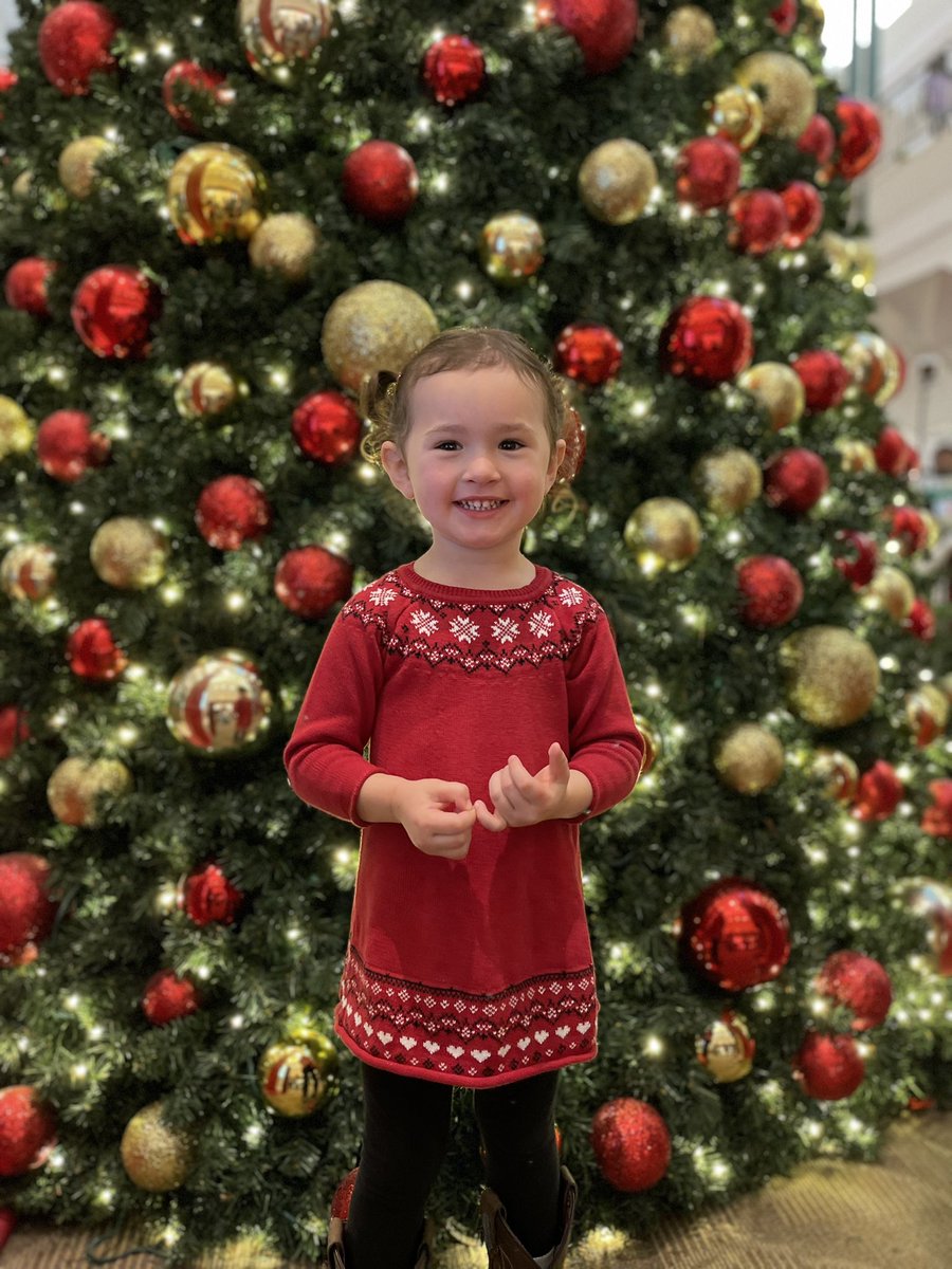 ms_nicolevarga's tweet image. Some Christmas magic this weekend for Mrs Varga and her biological family ♥️ (as opposed to my Husky family 💙) #Christmas2021 #meetingsanta