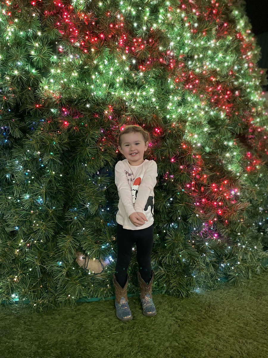 ms_nicolevarga's tweet image. Some Christmas magic this weekend for Mrs Varga and her biological family ♥️ (as opposed to my Husky family 💙) #Christmas2021 #meetingsanta