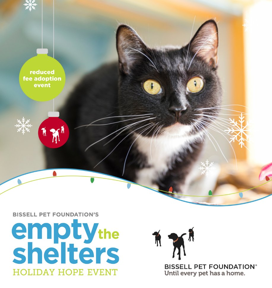 We've partnered with <a href="/BISSELLPets/">BISSELL Pet Foundation 🐶🐱</a> to bring Hope For the Holidays to shelter pets! Dec 8-20, all adult dog &amp; cat adoption fees are $25. Tuxedo kitty Pippa is nearly 2 years old &amp; has been waiting since August. Will it be her turn in December? #AdoptDontShop #EmptyTheShelters