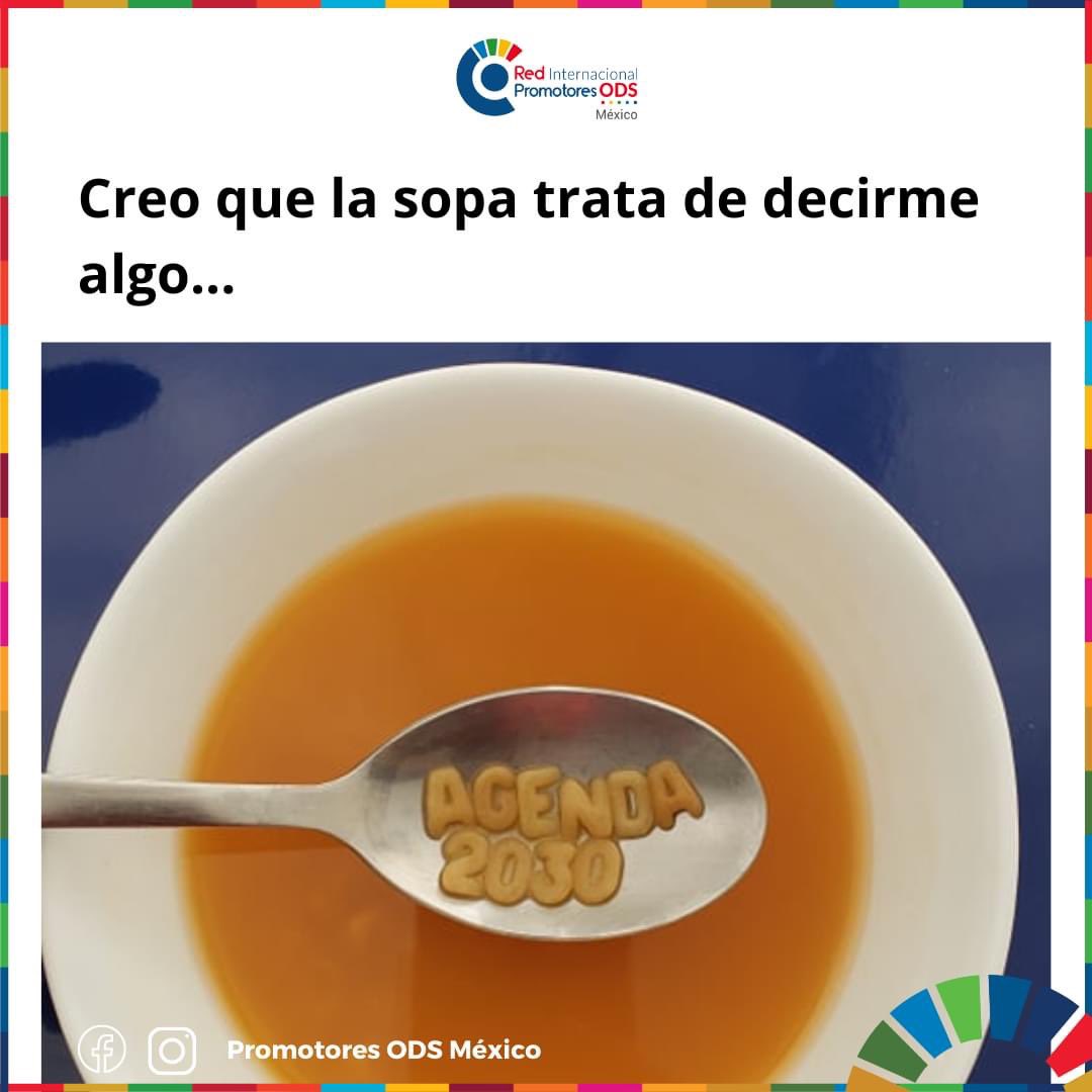 La sopa de los Promotores de los Objetivos de Desarrollo Sostenible ☺💙🌎

#salvaalmundo #Agenda2030 #PromotoresODSMexico