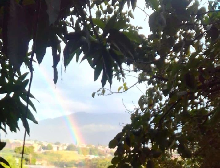 Foto para concurso
#CaracasEcológica

La maravilla que nos brinda la naturaleza es perfecta, nuestro deber es cuidarla

@CcsEcologica
Sigan participando hasta las 12 pm
.@TattianaCaribe 
.@ChavezLealV 
.@EdinsonPatriota 
.@monserrattlegal 
.@ComandoZonal 
.@_Karenpnt