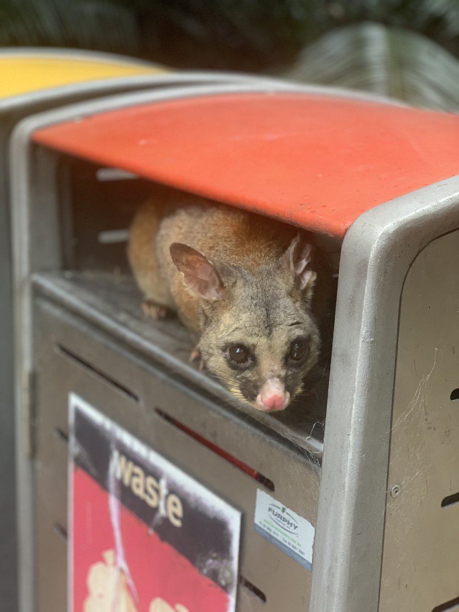 First day back on campus and found out that <a href="/UniMelb/">University of Melbourne</a> has new wardens enforcing a strict recycling policy.