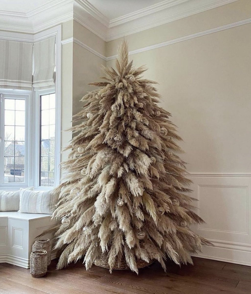 do you see this tree? 🤩