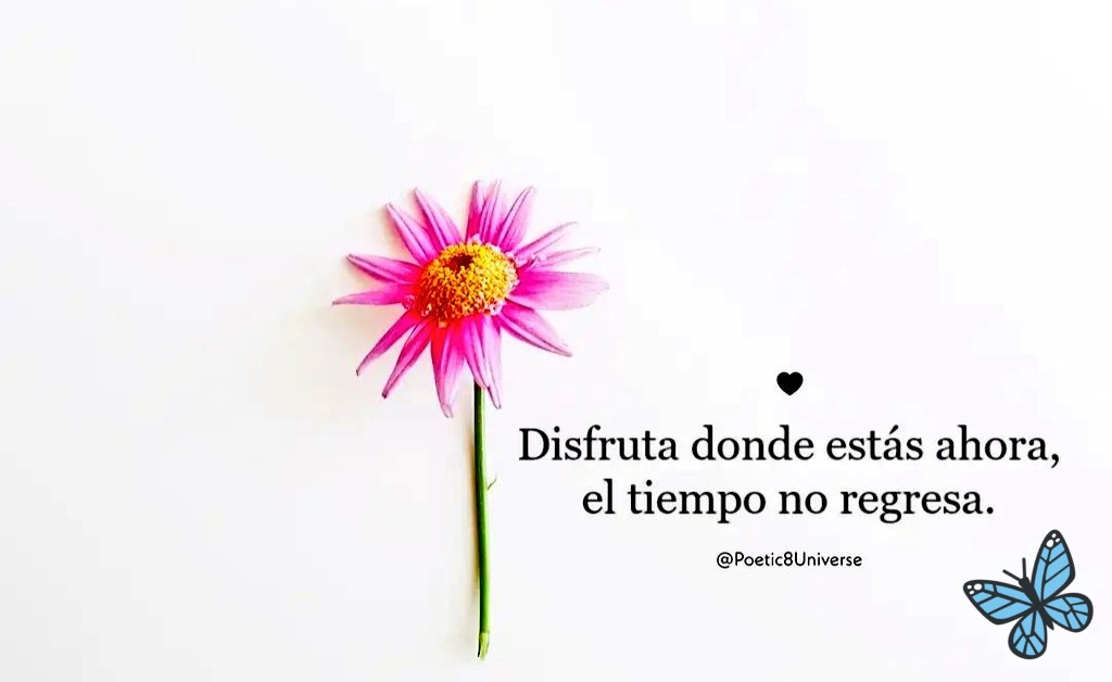 CataWar's tweet photo. No se repite lo vivido.
No conoces lo por venir.
#ConfiadaEnTi 💜🙏🏻 https://t.co/eAnqphakA6