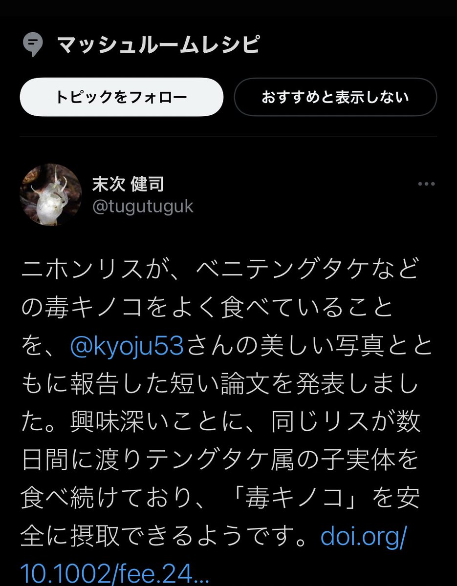 ニホンリス 毒キノコ食べてみた 毎日ベニテングタケなどを食べ続けた結果 つよすぎ かわいい と話題に Togetter