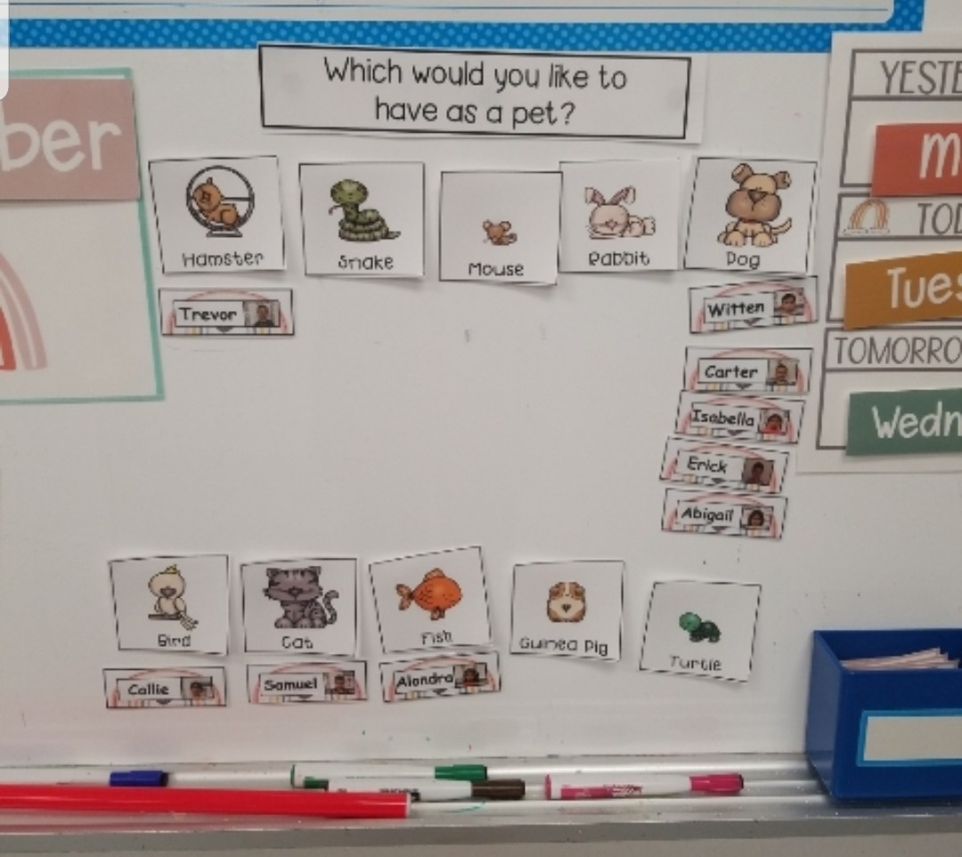 MrsHerrellPreK's tweet photo. Hello! We've been learning about different kinds of pets and where they live! We made pictures of pets and listened to the story, "Swimmy," by Leo Lionni. We even made our own Swimmy fish to practice our shapes and cutting skills! @KrisDeFazio @JenVanderburg  @JamesburgPublic https://t.co/wNFqG6CdjU
