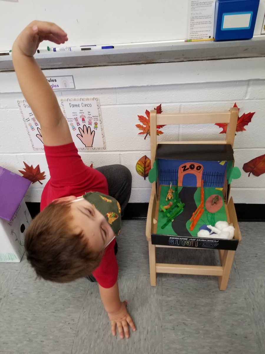 MrsHerrellPreK's tweet photo. Check out our creative pet houses we made to go with our Pet Study! Awesome job everyone! 😁🐶🐱🐇🐢🦜🐟 @KrisDeFazio @JenVanderburg @JamesburgPublic https://t.co/5hI0XNFfcC