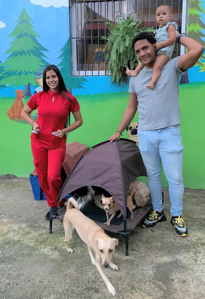 lauraandujard's tweet photo. • El patio de Laura • 🐶💕⛺️ https://t.co/quXgAGZlBx