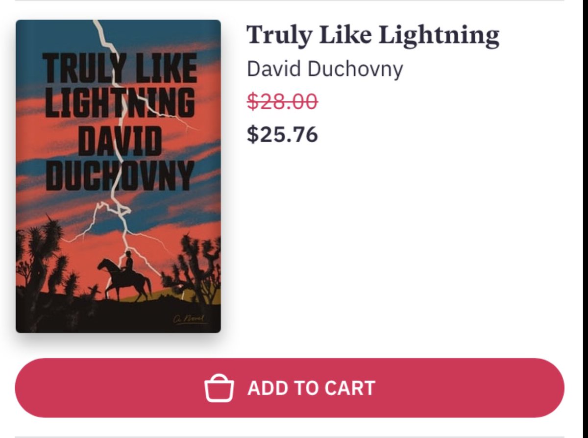 PJSPosts's tweet image. Anybody looking for a gift for a reader?  @fsgbooks @davidduchovny #trulylikelightning #supportlocalbookstores #BookRecommendations #gifts