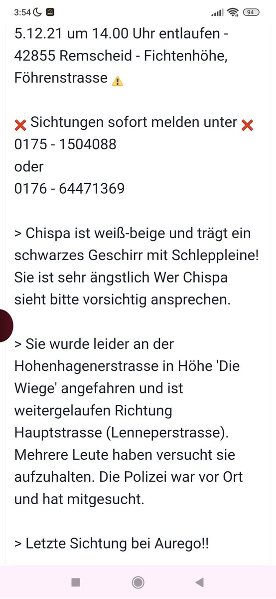 Babsi58089's tweet photo. #Chipsa würde angefahren und seither #vermisst #entlaufen #Remscheid https://t.co/QI14APYAfe