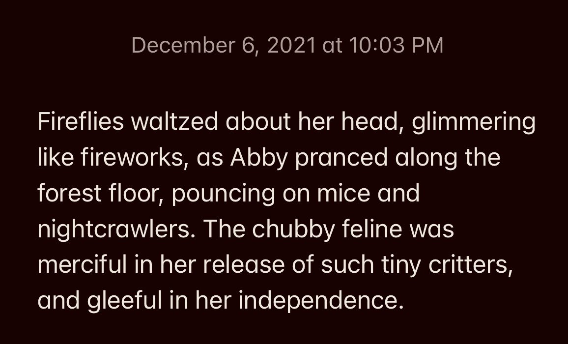 CatMicroFic's tweet photo. “Long Nights with Fireflies”
🪰🌌🐈🐭🪱

A short work of cat flash micro fiction https://t.co/O8IHoeIm9e