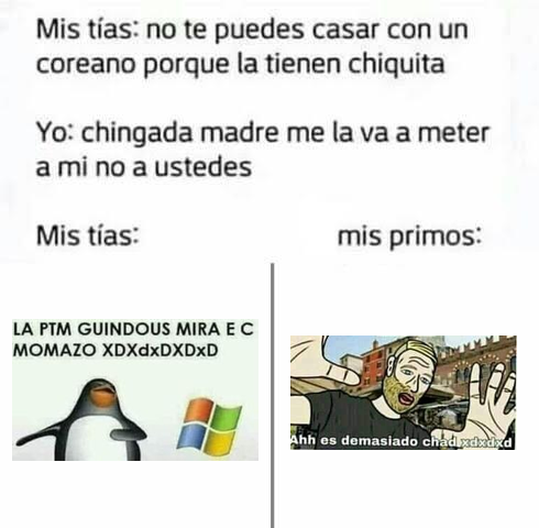 Memes Random Alv