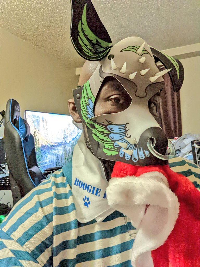 LBoogiebear's tweet photo. Santa's Little K9 padded helper.. I love my new hood!💜 It's  playful yet terrifying. Hats off to @wruffstuff  for making this pup's Christmas a very special kink filled one. Arrrroooo! 🔥🎄💯

#wruffstuffhood #wruffstuff #pupplaycommunity #humanpupplay  #abdlbaby https://t.co/6iosiaNZ27